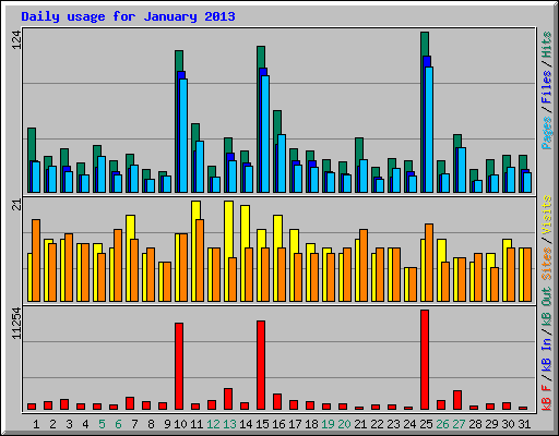 Daily usage for January 2013