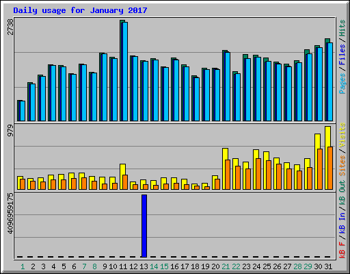 Daily usage for January 2017