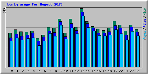 Hourly usage for August 2013