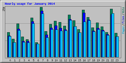 Hourly usage for January 2014