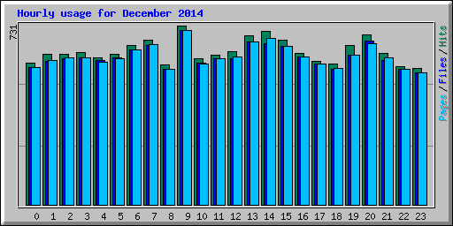 Hourly usage for December 2014