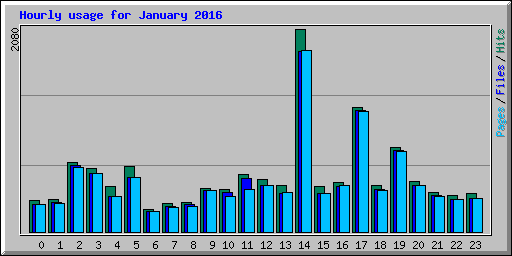 Hourly usage for January 2016