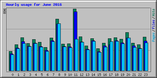 Hourly usage for June 2016