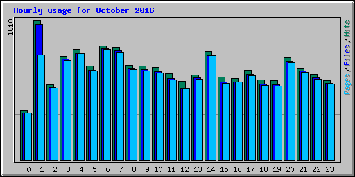 Hourly usage for October 2016