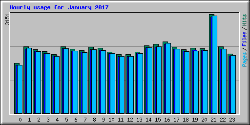 Hourly usage for January 2017