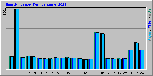 Hourly usage for January 2019